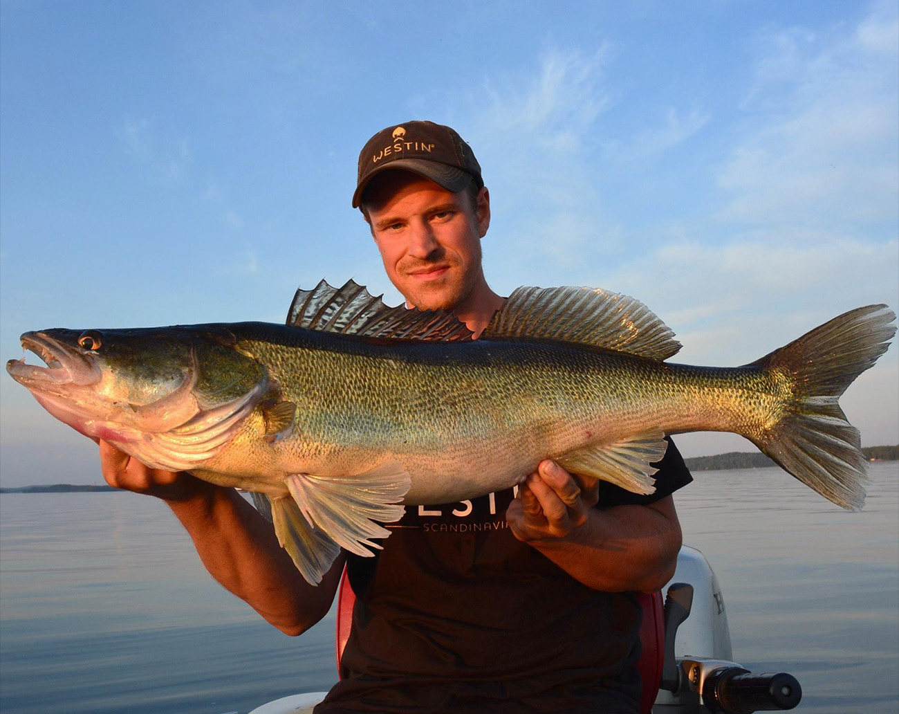 Westin W4 Finesse Shad 2nd 7'4''/220cm MH 10-28g 2sec